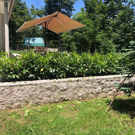 Mountain House Ivanova Korita Τσέτινιε Εξωτερικό φωτογραφία
